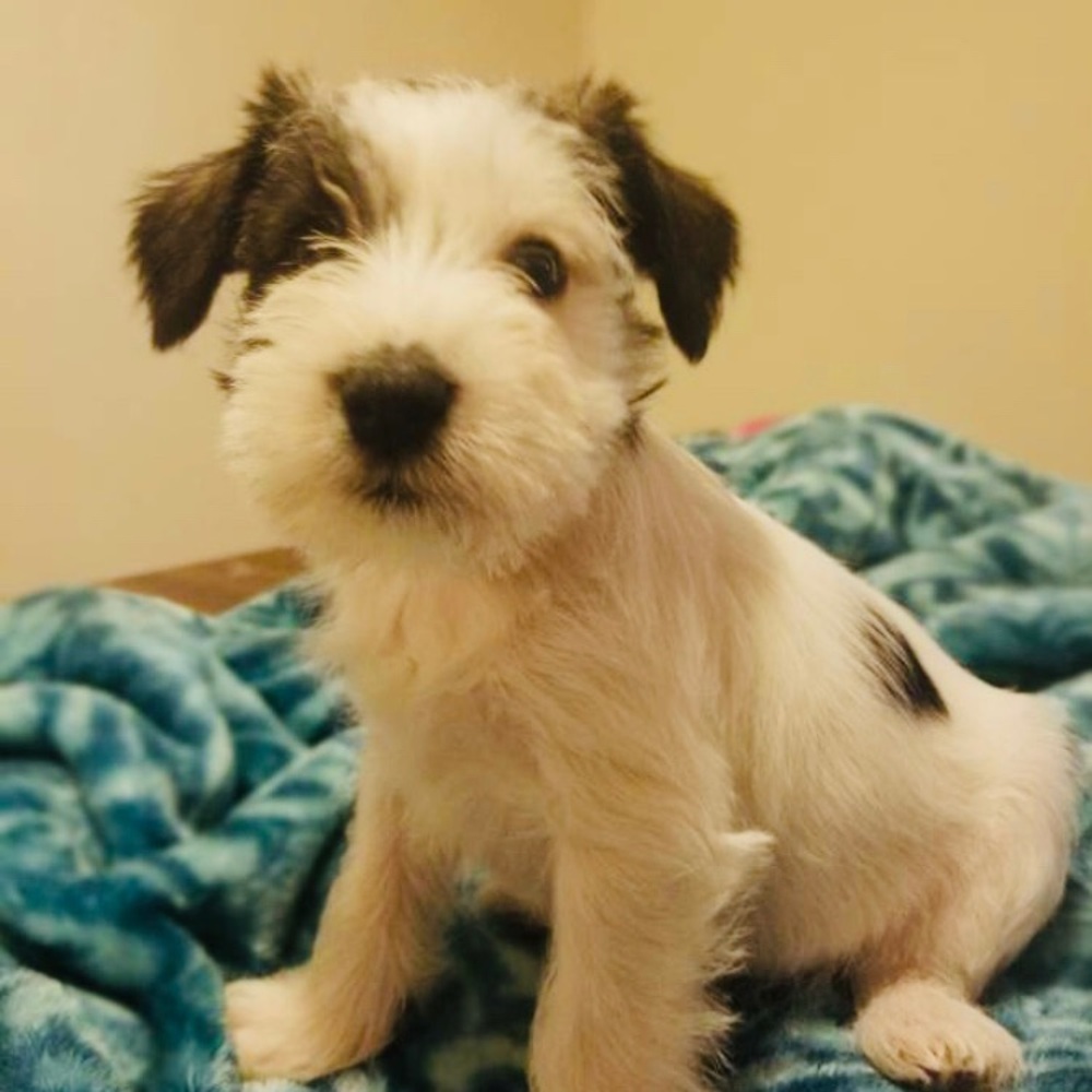 Meet your Posher, Yuko